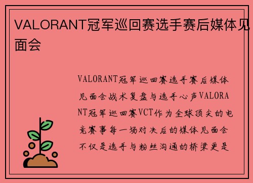 VALORANT冠军巡回赛选手赛后媒体见面会
