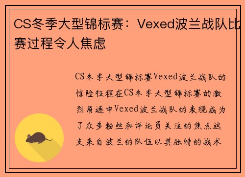 CS冬季大型锦标赛：Vexed波兰战队比赛过程令人焦虑